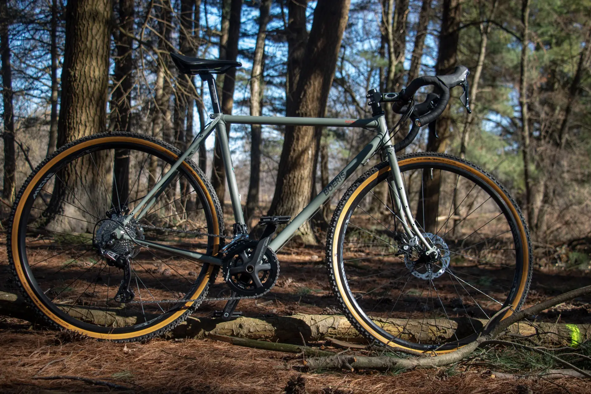 Bici Gravel di colore verde di Boeris Bikes Torino fotografata in un bosco