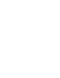 logo Boeris Bikes Torino bianco
