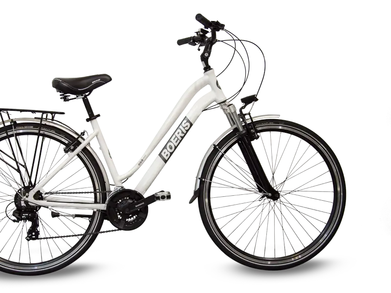 City Bike Boeris Bike Torino