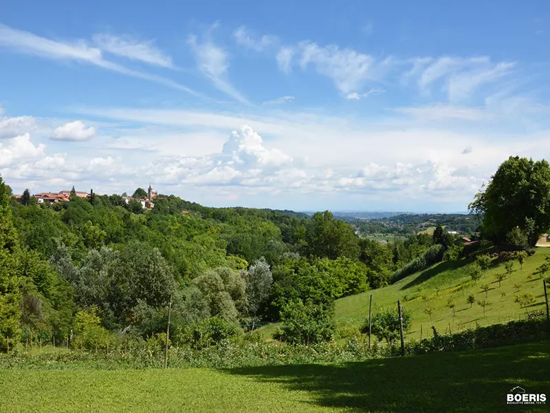 Immagine Pedalata Raduno Asti 19 giugno 2016 sulle colline astigiane primavera in bicicletta