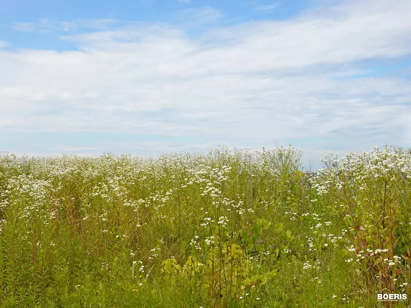 Immagine Pedalata Raduno Asti 19 giugno 2016 sulle colline astigiane primavera in bicicletta