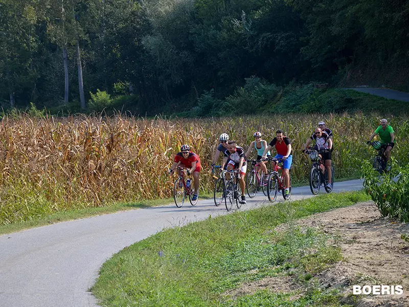 Immagine Pedalata Raduno Asti 2016 sulle colline astigiane