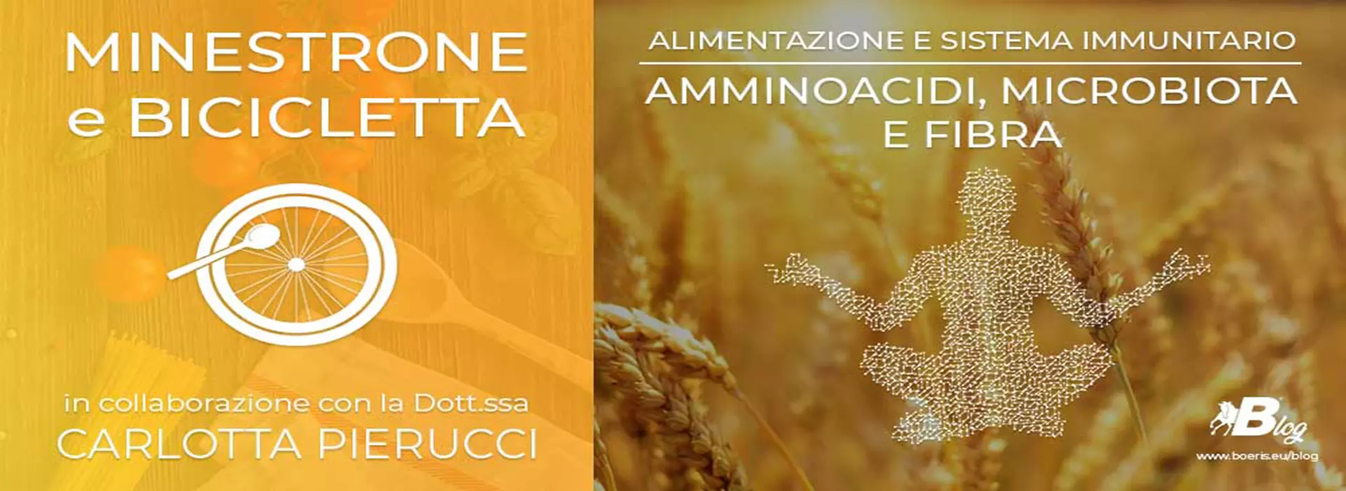 Copertina Articolo Alimentazione e sistema immunitario: amminoacidi, microbiota e fibra in collaborazione con la dott.ssa Carlotta Pierucci della categoria minestrone e bicicletta