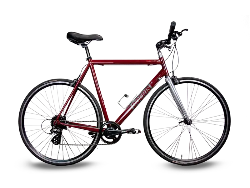 City bike business Boeris Bikes Torino colore amaranto e argento