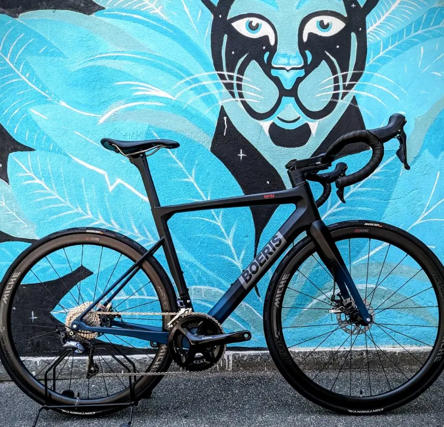 Bici da Strada blu Boeris Bikes Torino fotograta davanti ad un murales azzurro con una pantera stilizzata