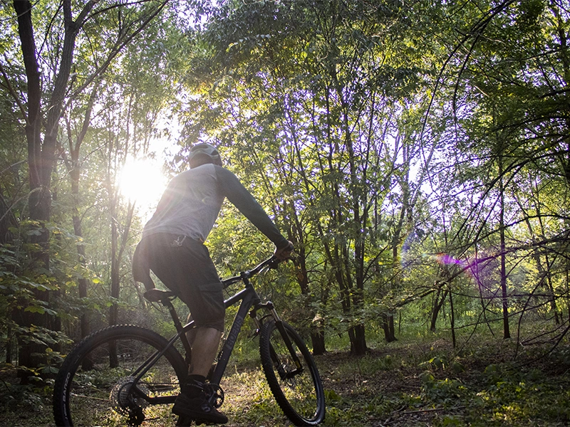 MTB nera serie 700 guidata su un sentiero sterrato in mezzo ad un bosco con il sole che filtra fra le fronde degli alberi