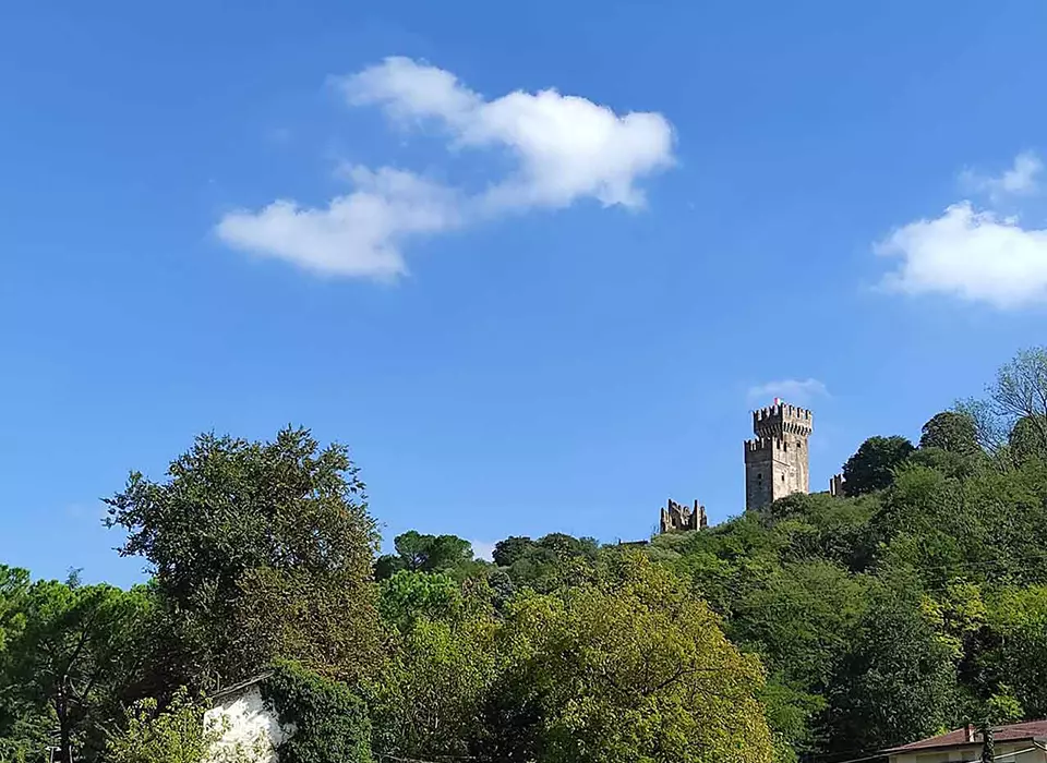 la torre del castello di Valeggio sul Mincio nascosto da alberi e visibile solo la torre di osservazione