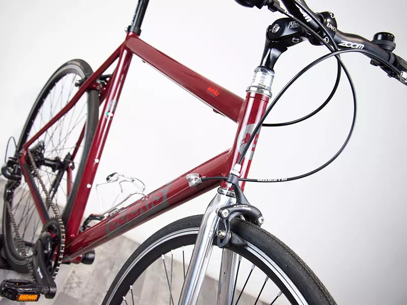 Immagine frontale di una city bike business Boeris Bikes torino amaranto
