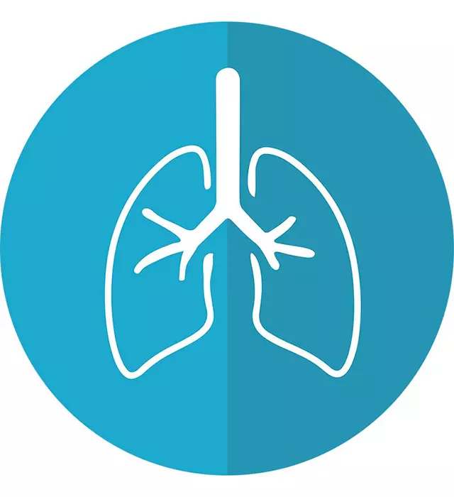 Disegno di un polmone in bianco su sfondo azzurro circolare per l'articolo Respirazione in allenamento