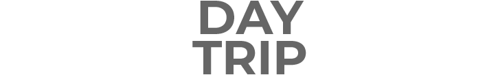 logo day trip