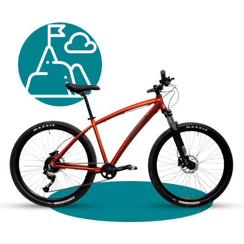 mtb action Boeris Bikes Torino colore rosso con icona stilizzata di una montagna color ottanio