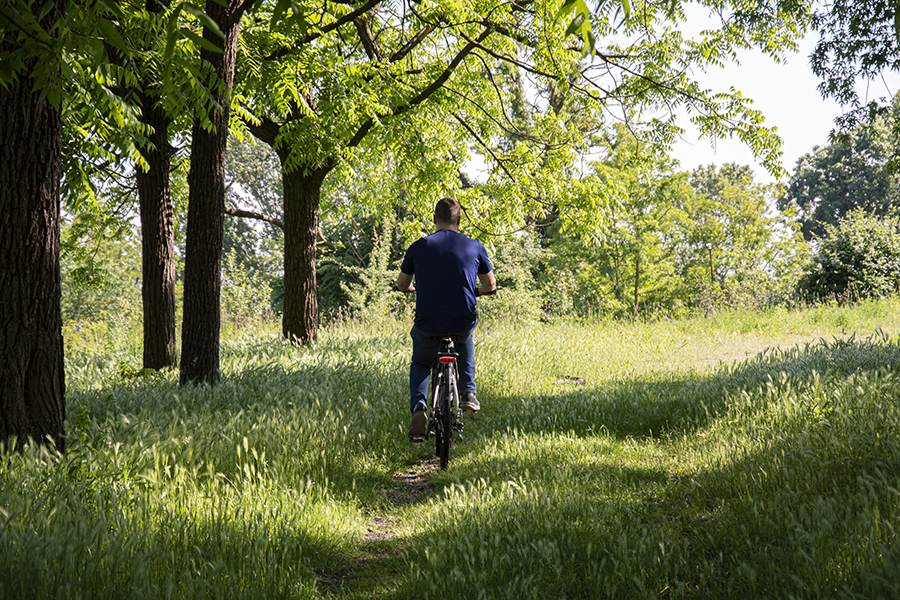 Vega di Boeris Bikes è un’ebike e-trekking dal design moderno ed ergonomico, con batteria integrata e componenti pensati per comfort, autonomia e libertà di movimento. Ebike e-trekking Vega di Boeris Bikes appoggiata a un albero in un prato verde