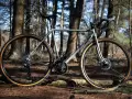 Gravel bike serie X-P color verder con sella e manubrio neri di Boeris Bikes Torino in mezzo ad un bosco