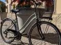 City bike color verde con sella e manubrio neri di Boeris Bikes Torino di fronte ad una siepe