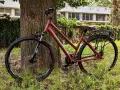 Trekking Bike Boeris Bike Torino amaranto appoggiata ad un albero in un parco cittadino