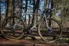 Bici Gravel di colore verde di Boeris Bikes Torino fotografata in un bosco